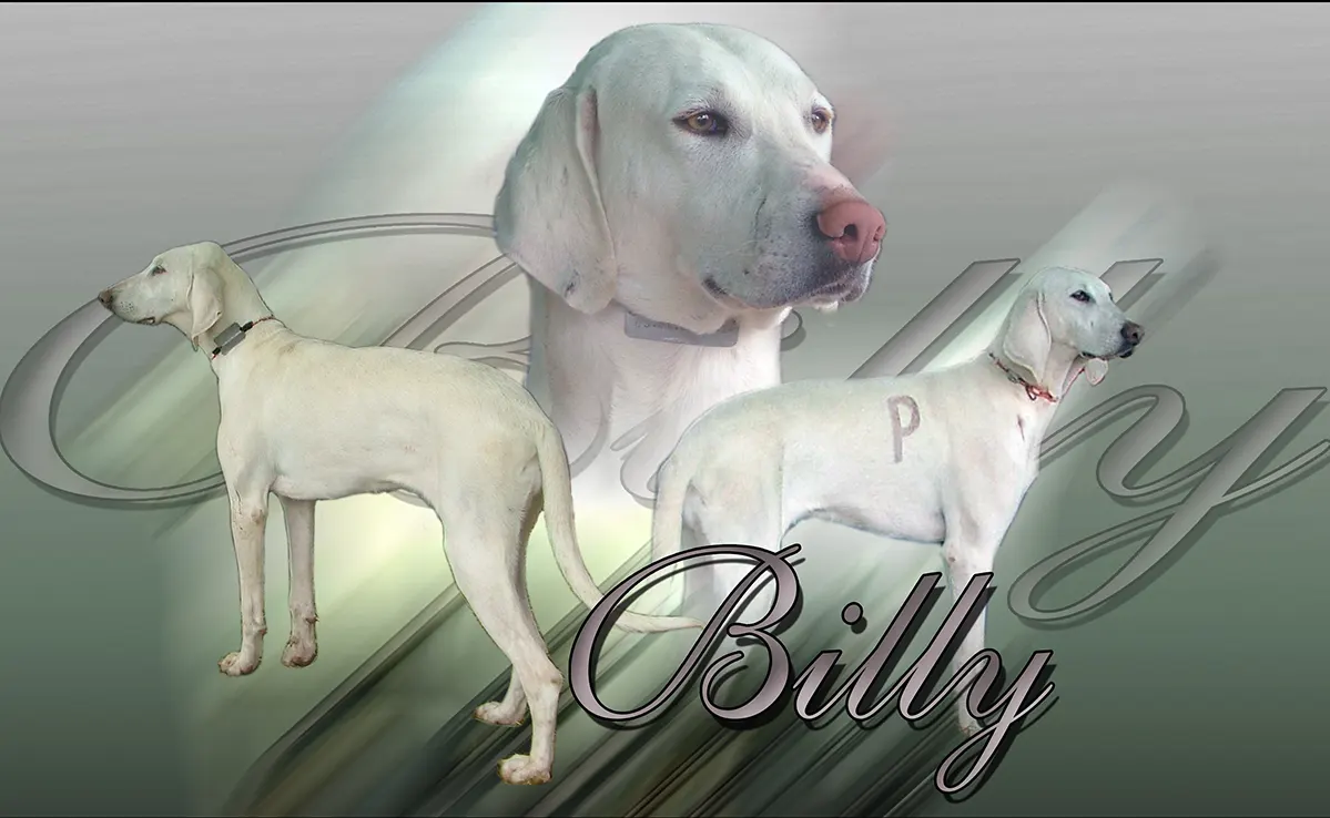 Billy