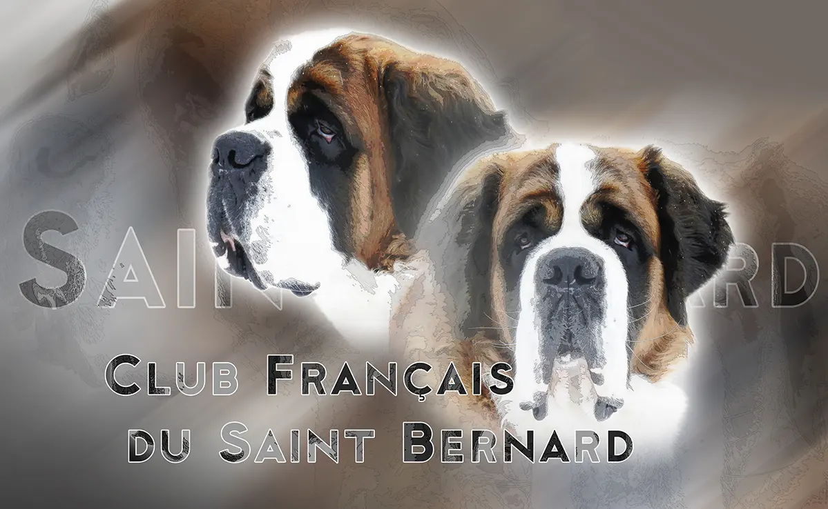 Saint Bernard