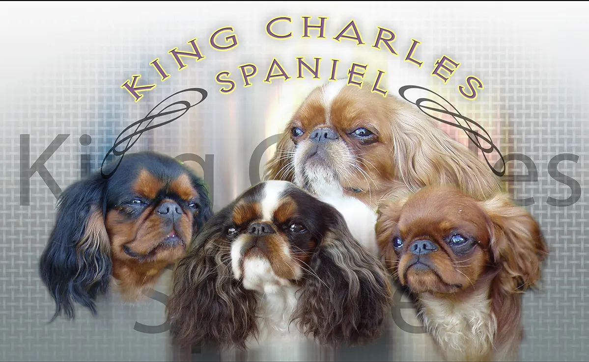 King Charles