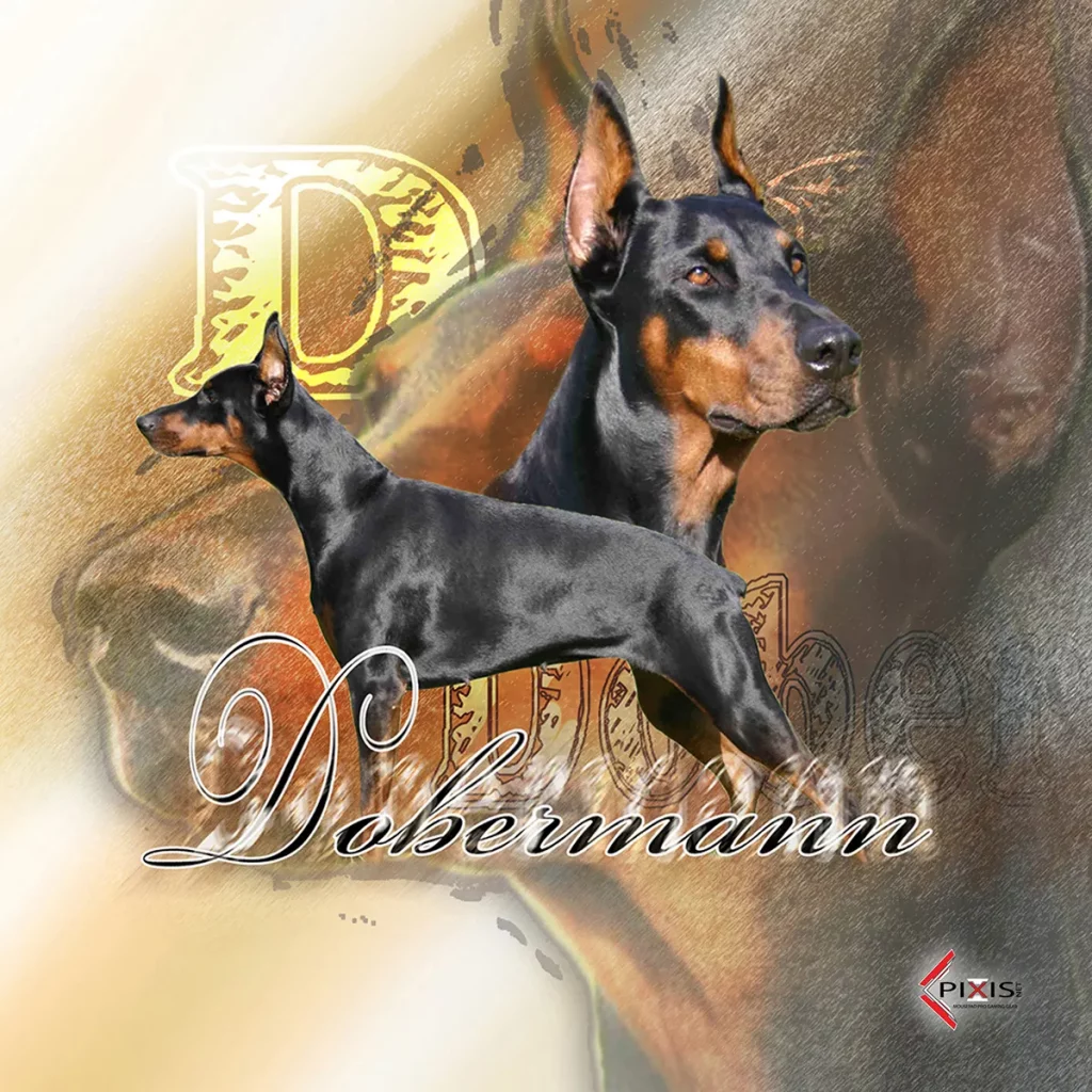 plaque attention chien doberman