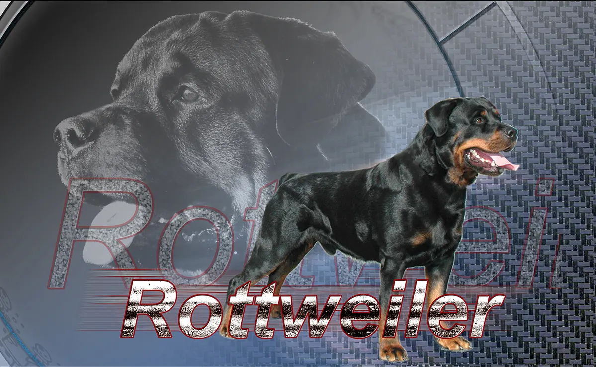 Rottweiller