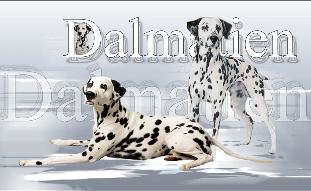 Dalmatien