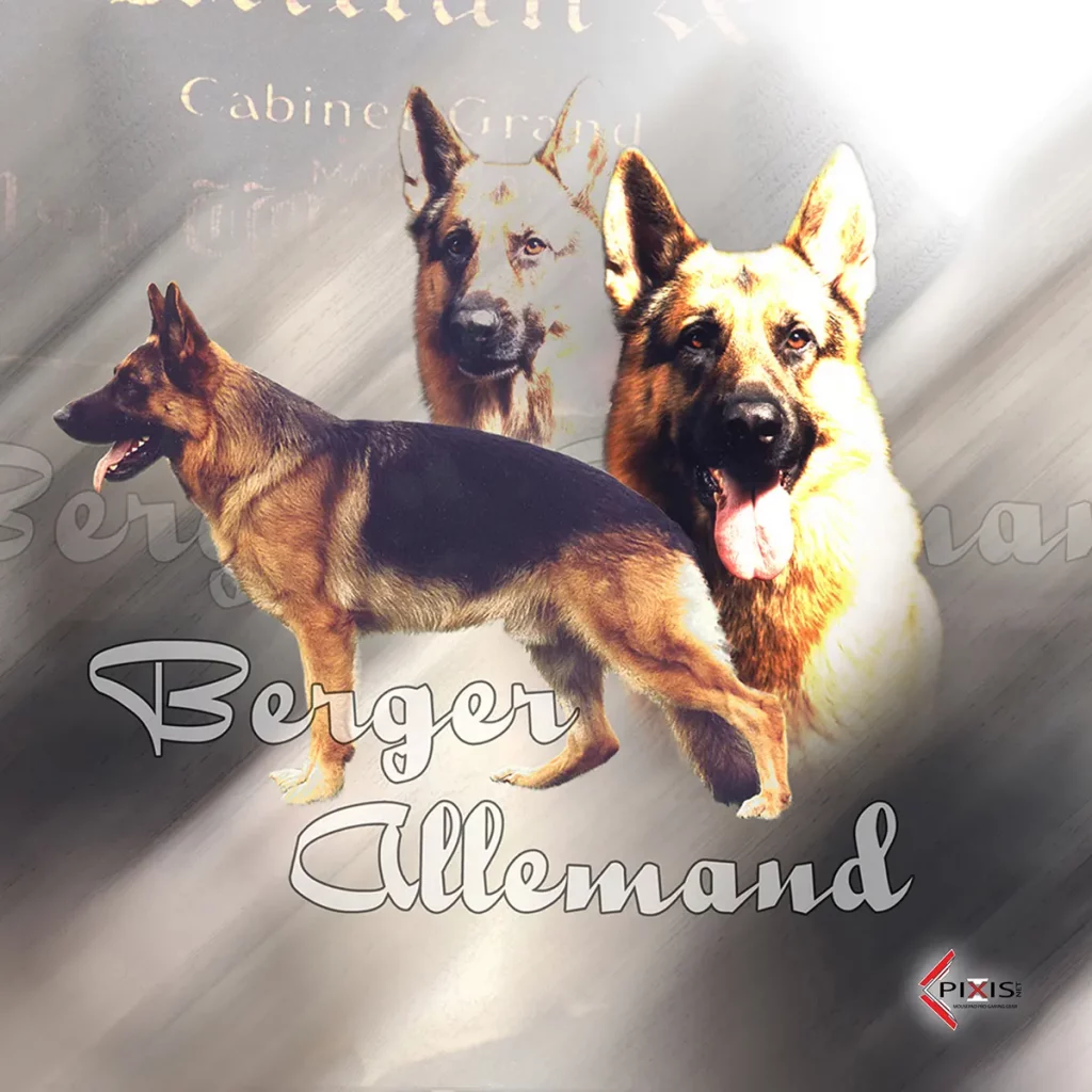 plaque attention chien berger allemand