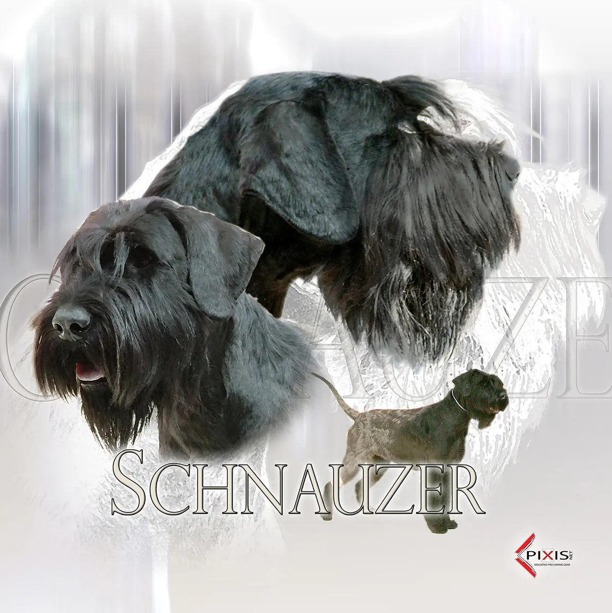 plaque attention chien schnauzer geant