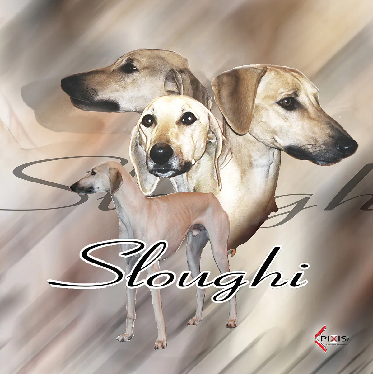 plaque attention chien sloughi