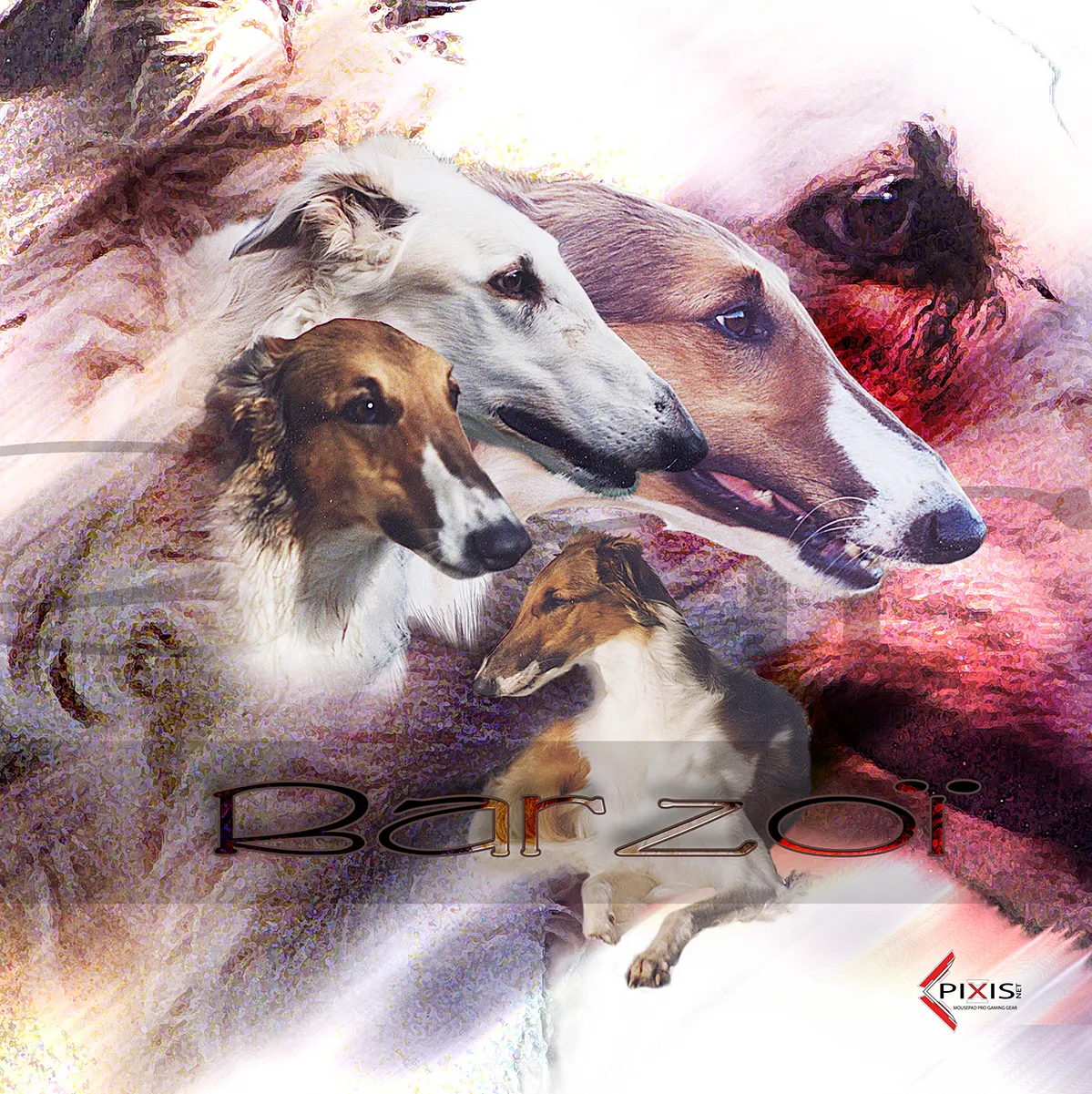 plaque attention chien levrier russe