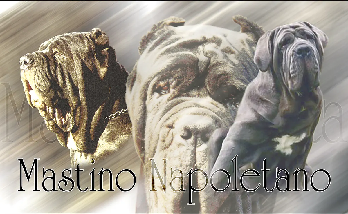 Matin De Naples