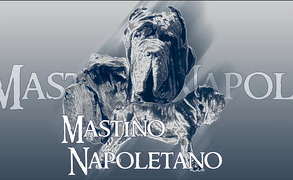 Matin De Naples