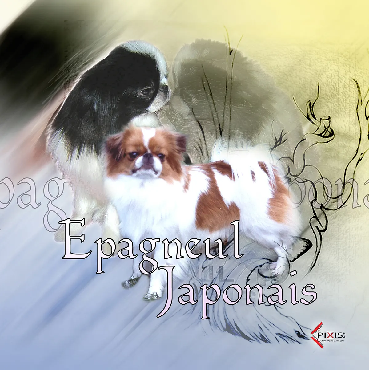 plaque attention chien epagneul japonais