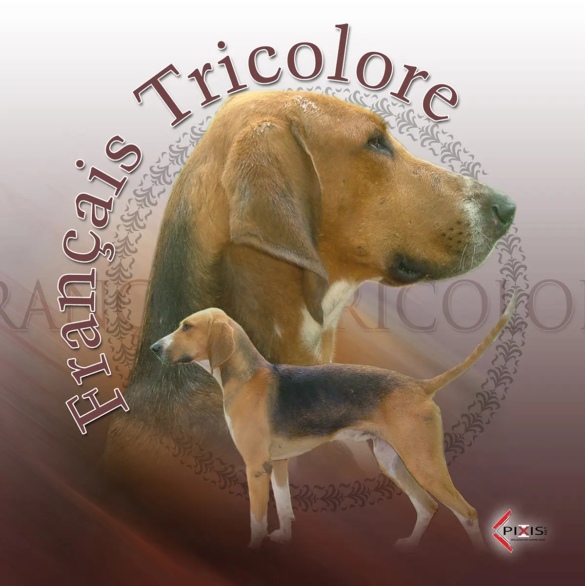 Francais Tricolore plaque attention chien francais tricolore