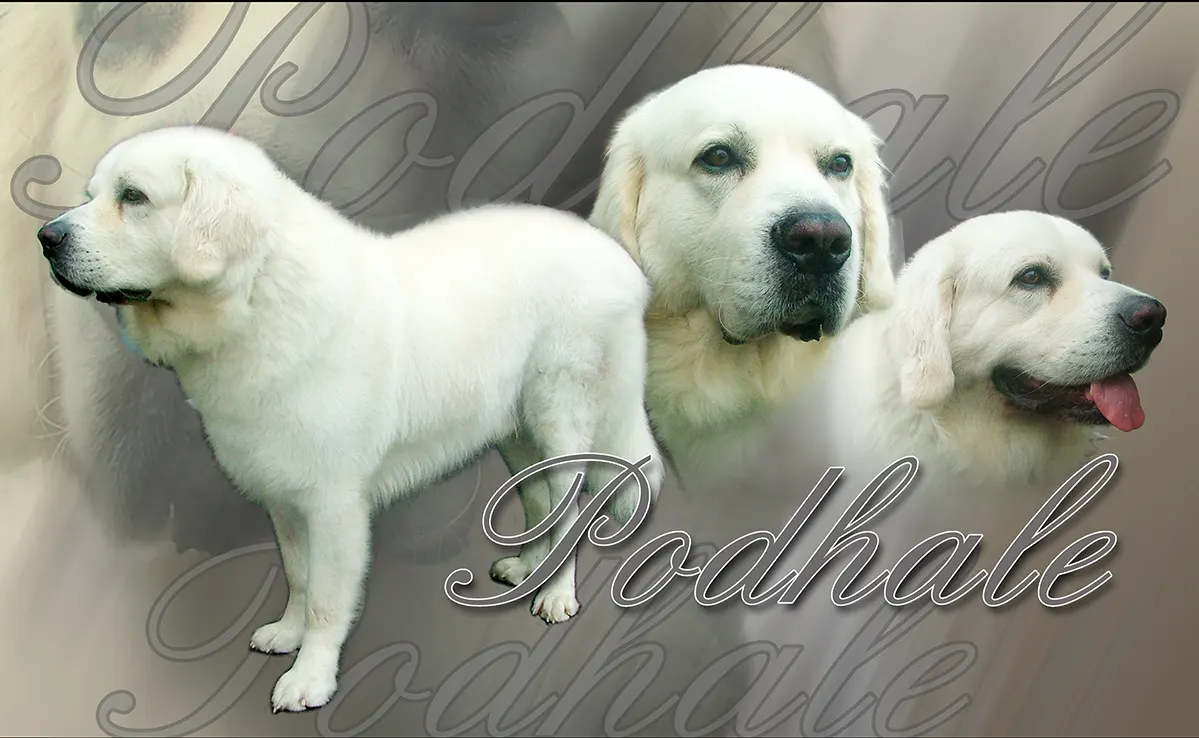 Podhale