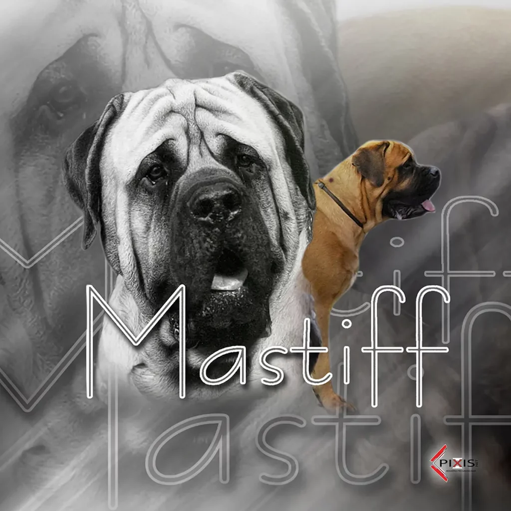 plaque attention chien mastiff