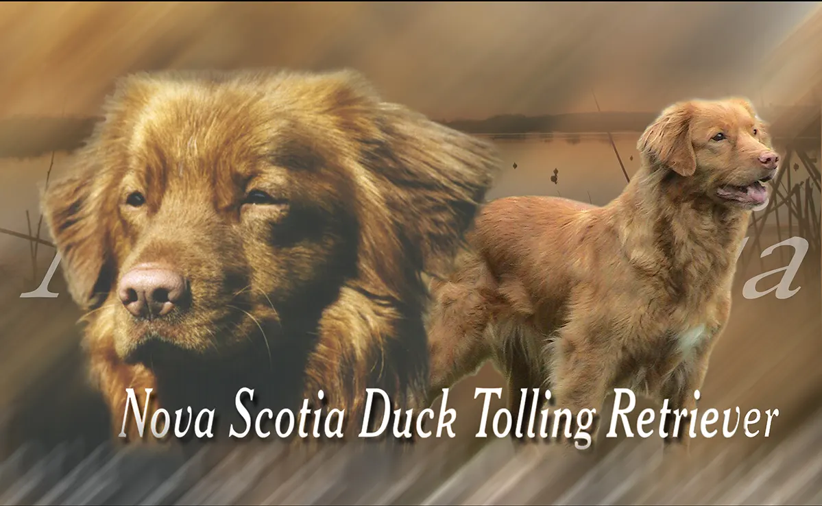 Nova Scotia