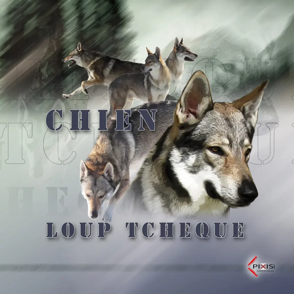 plaque attention chien chien loup tcheque