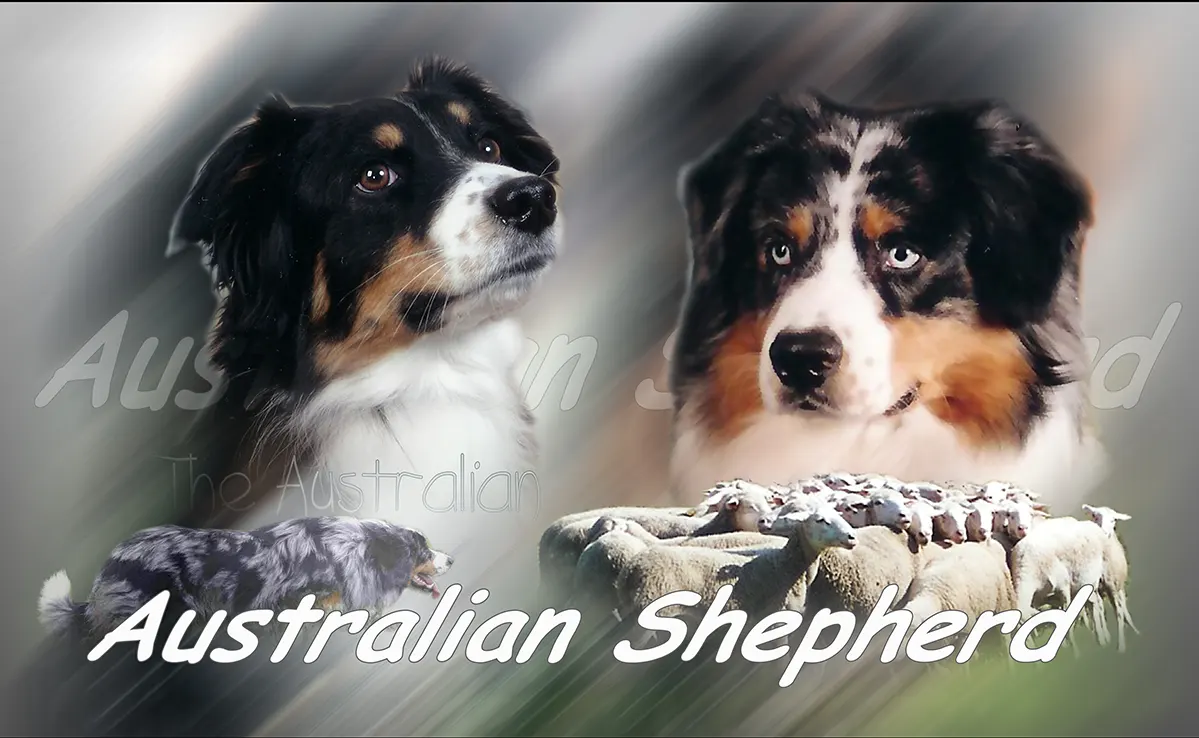 Berger Australien