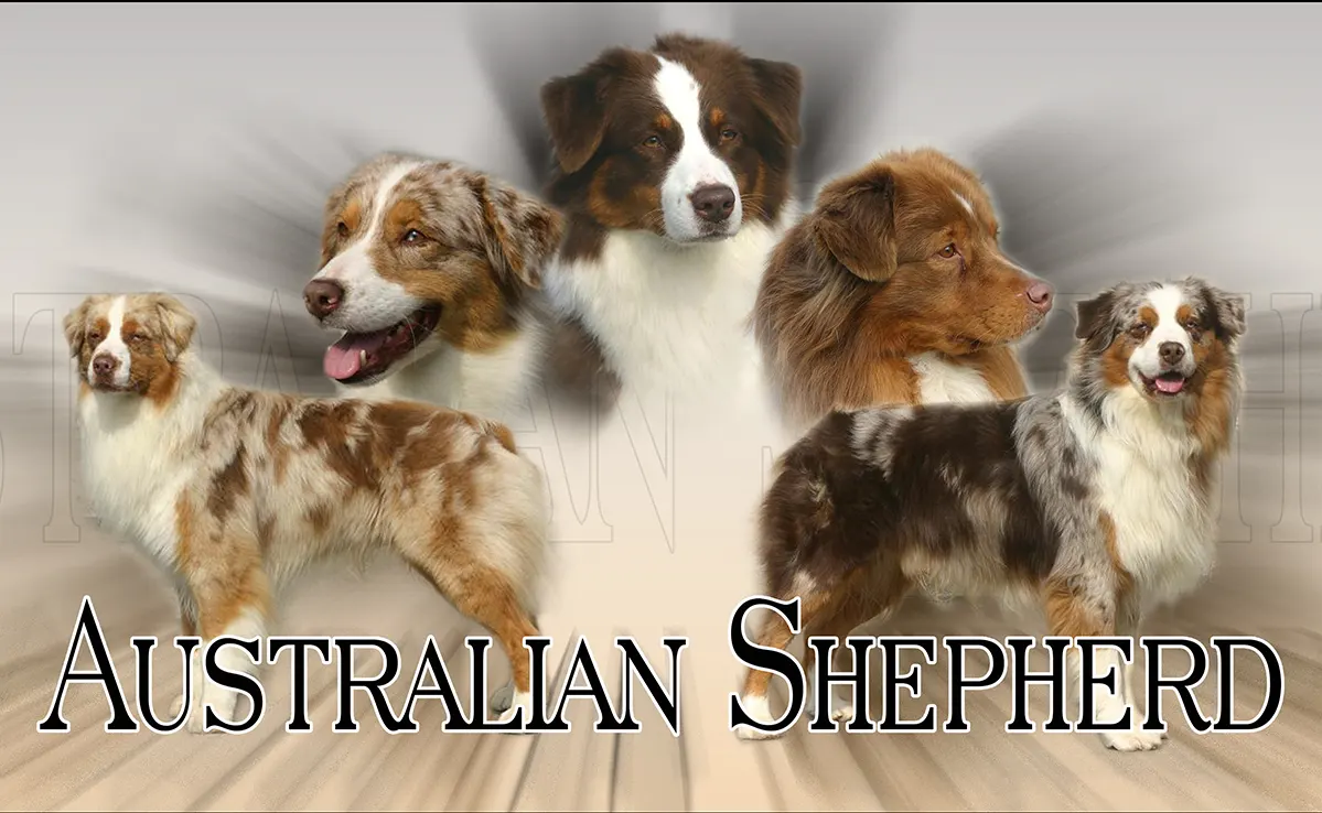 Berger Australien
