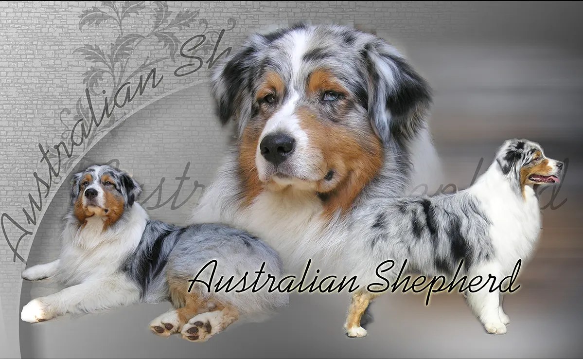 Berger Australien