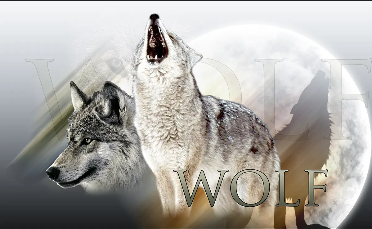 Loup