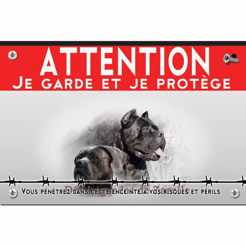 attention chien cane corso
