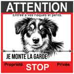 berger attention