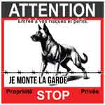 pancarte berger malinois