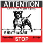 attention terrier