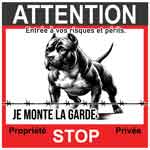 attention pitbull