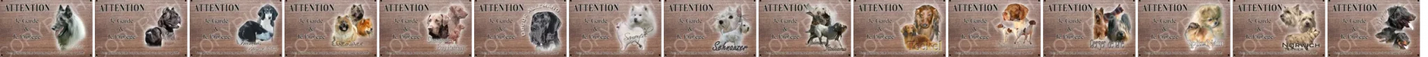 série de plaque attention au chien