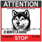 plaque carré de shiba inu