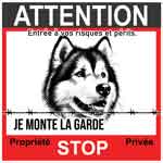 panneau alaskaine malamute