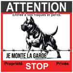 plaque dogo canario