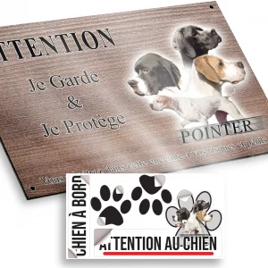 attention au chien Pointer anglais