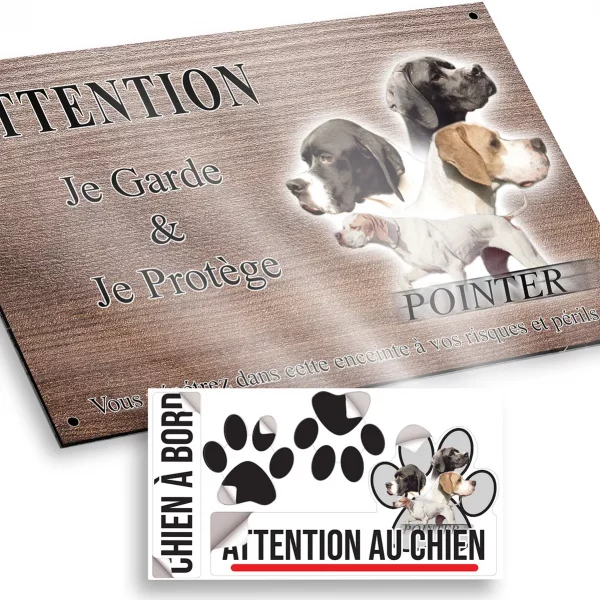 attention au chien Pointer anglais