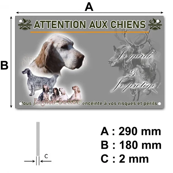 Pancarte Portraits d'English Setter en différentes poses