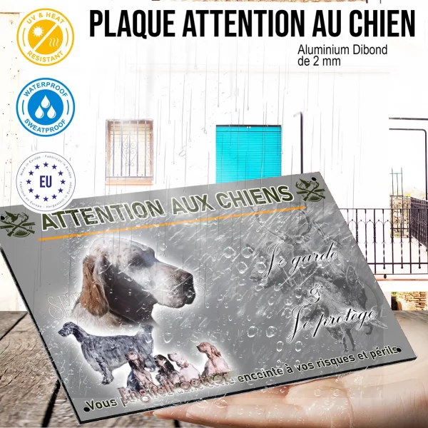 Panneau Portraits d'English Setter en différentes poses
