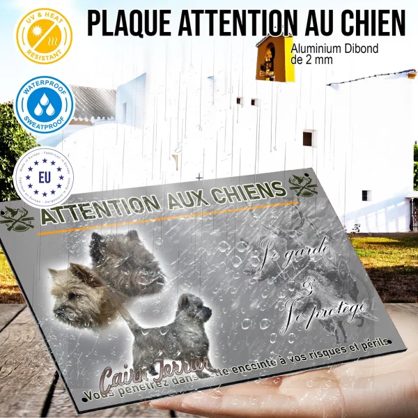 Panneau Cairn Terrier en plusieurs poses