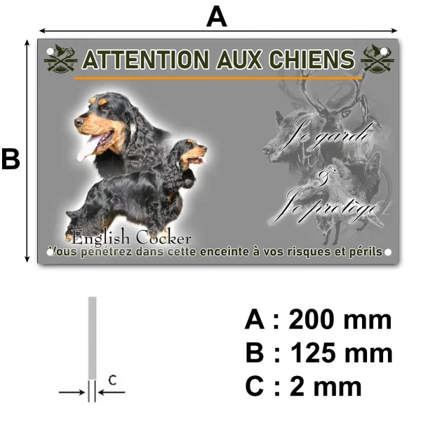 Panneau Deux chiens English Cocker Spaniel sur fond photographique.