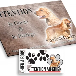 Plaque attention au chien Deux English Cockers avec un fond coloré
