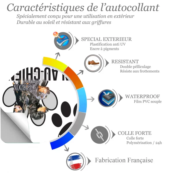 Chien a bord Portraits de 3 Gordon Setter avec texte