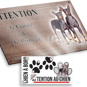 Plaque attention au chien Deux English Toy Terriers ensemble sur fond coloré