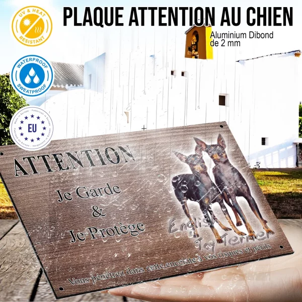 Panneau attention au chien Deux English Toy Terriers ensemble sur fond coloré