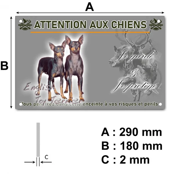 Pancarte Deux English Toy Terriers ensemble sur fond coloré