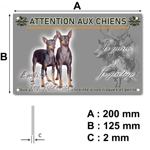 Panneau Deux English Toy Terriers ensemble sur fond coloré