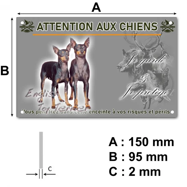Plaque Deux English Toy Terriers ensemble sur fond coloré