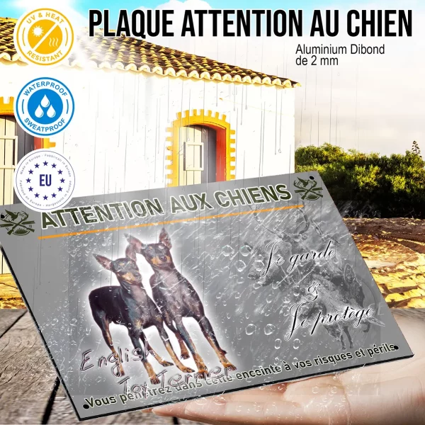 Panneau Deux English Toy Terriers ensemble sur fond coloré