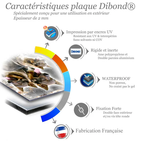 Je monte la garde Trois Västgötaspets avec un fond transparent