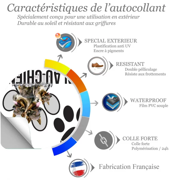 Chien a bord Trois Västgötaspets avec un fond transparent