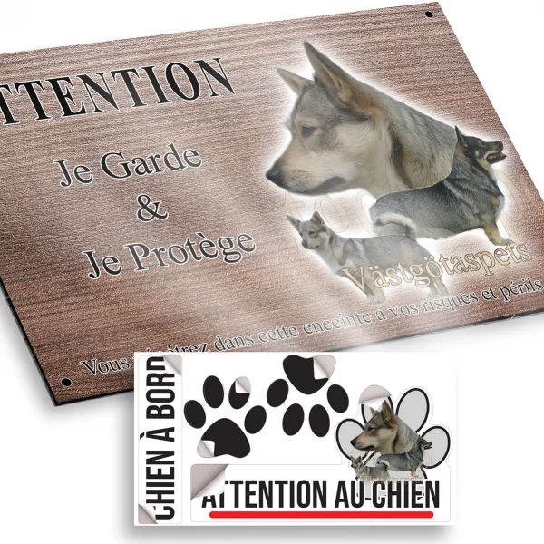 Plaque attention au chien Chien Västgötaspets avec des poses variées