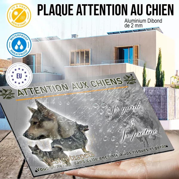 Panneau Chien Västgötaspets avec des poses variées