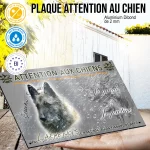 Plaque attention au chien Berger Belge Laekenois, fond chasse, en situation
